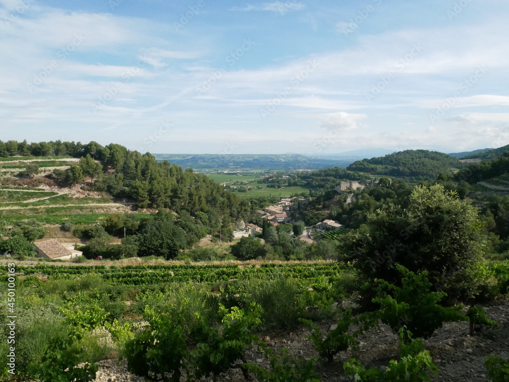 Vue depuis la forêt sur les vignes de Bourgogne 