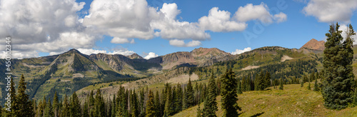 Rocky Mountain Summer Panorama