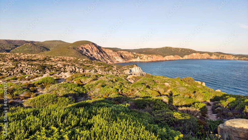 Suggestive and relaxing wilderness landscape in Sardinia coast with cliff blue sea and green bushes