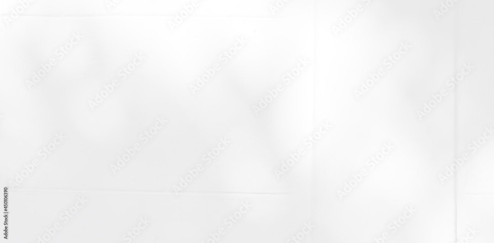 Abstract Shadow. blur background. gray leaves that reflect concrete walls on a white wall surface for blurred backgrounds and monochrome wallpapers. Abstract Shadow. blur background. gray leaves that reflect concrete walls on a white wall surface for blurred backgrounds and monochrome wallpapers.