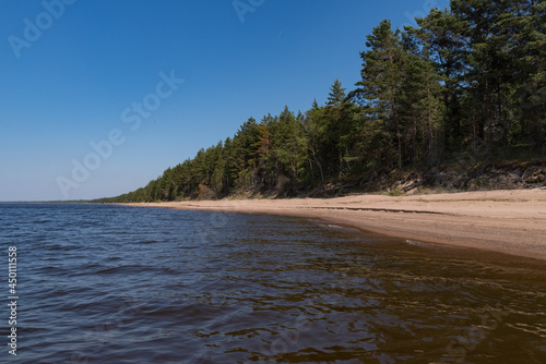Sandy beach on the southern shore of Lake Ladoga, Leningrad region of Russia, near the village of Chernoe.
