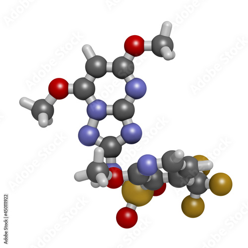 Pyroxsulam herbicide molecule. 3D rendering. photo