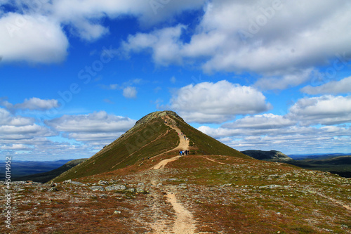 A walkpath up to a mountain photo