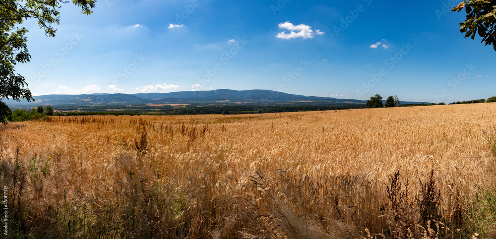 Fototapeta premium Panorama Karkonoszy