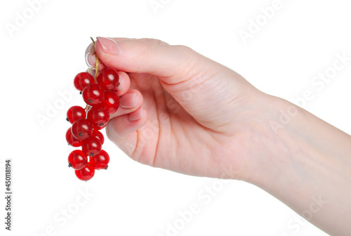 red ribes in hand on white background isolation © Kabardins photo