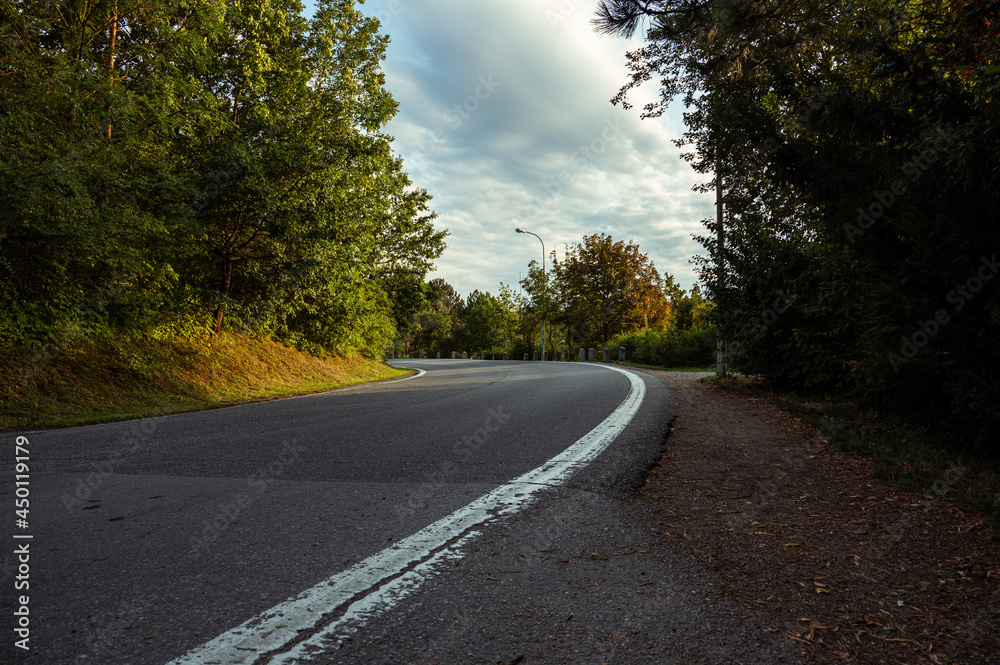 Fototapeta premium road in the autumn