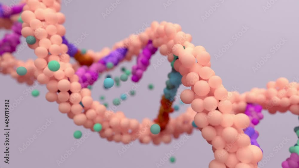 DNA mutation, a mutation is a change in a DNA sequence, mutations can result from DNA copying mistakes made during cell division.