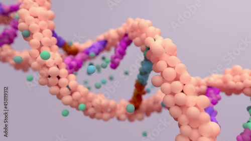 DNA mutation, a mutation is a change in a DNA sequence, mutations can result from DNA copying mistakes made during cell division. photo