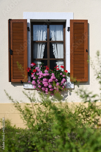 fleurs   t   facade maison immobilier volets fenetre Kleinbettingen Luxembourg