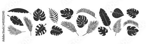 Palm leaf vector set, summer foliage, exotic jungle, black silhouettes isolated on white background. Tropic illustration