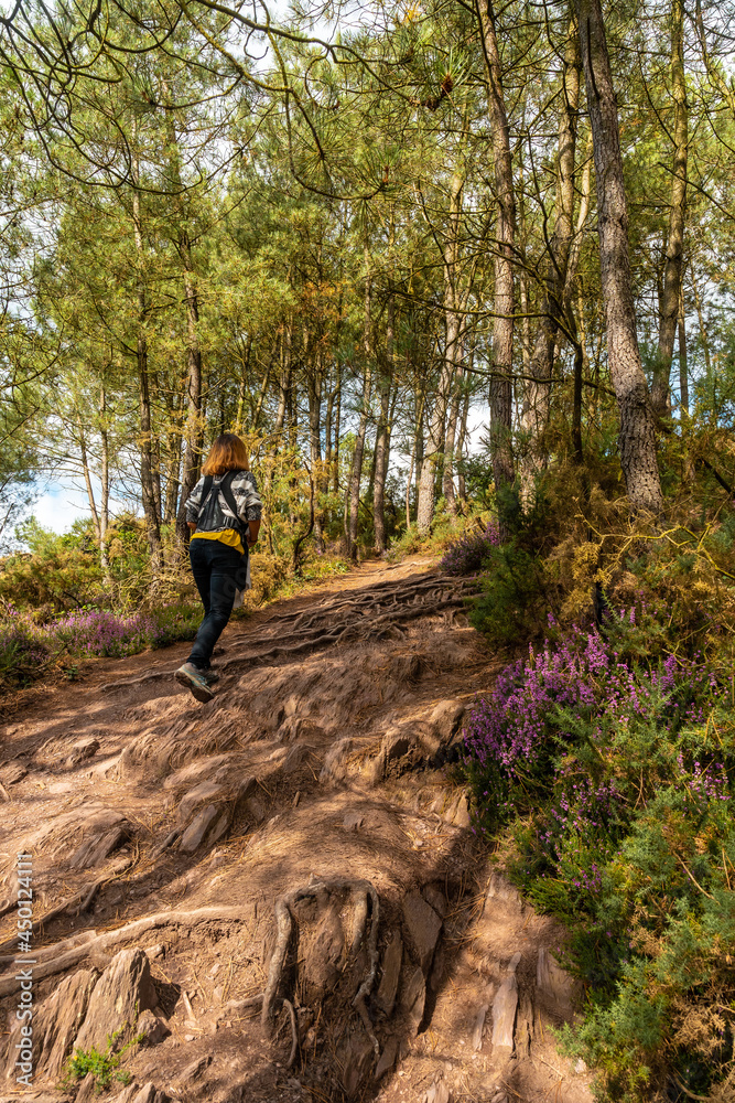 A young woman on the trail in the Broceliande forest, French mystical forest located in the Ille-et-Vilaine department, Brittany, near Rennes. France