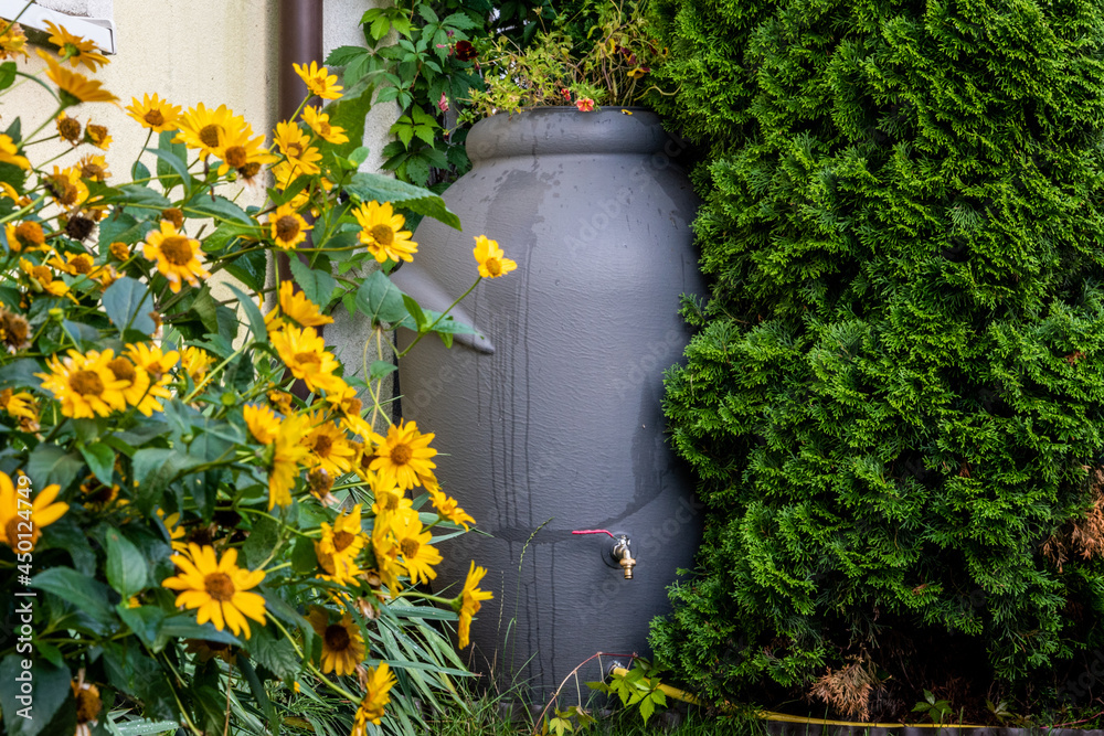Water tank connected to the gutter. Ecology, rainwater, saving the climate. Water tank connected to the gutter. Ecology, rainwater, saving the climate.