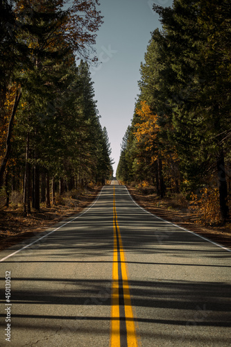 road in the Shasta Trinity National Forest, California photo