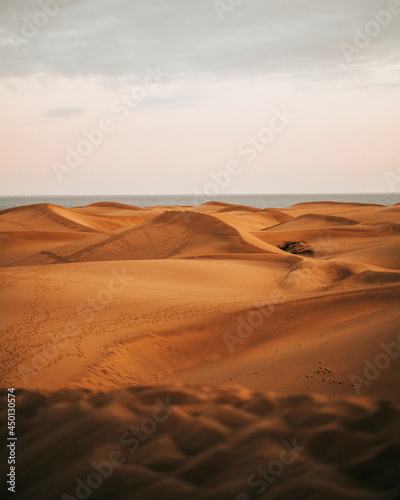 Dunas de Maspalomas