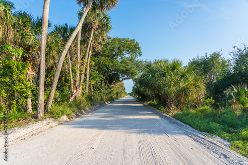 Unpaved road among swamps at Pelican Island National Wildlife Refuge, Florida. A beautiful location for viewing local bird habitats, hiking trails, and excursions