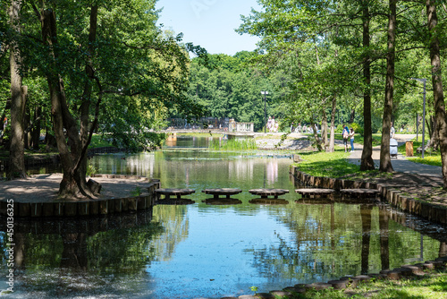 Tortilin pond in Zvenigorod on a sunny summer day.