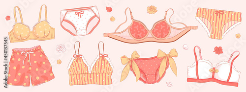 Lingerie design collection. Set of hand drawn pants and bra. Vector illustration of underwear