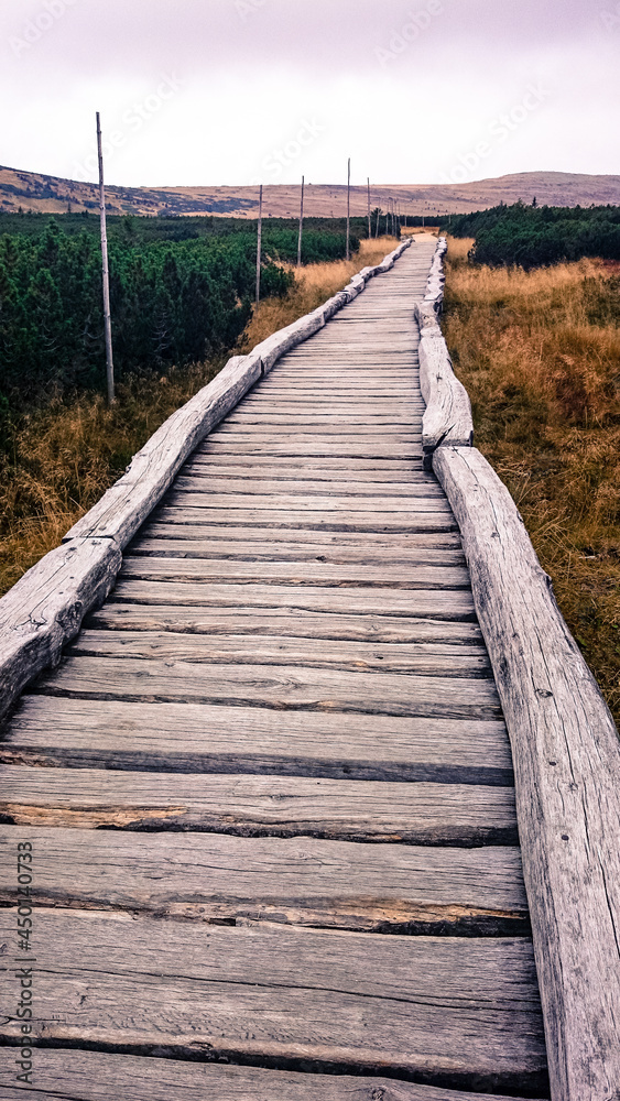 Long Wooden Path in the Mountains