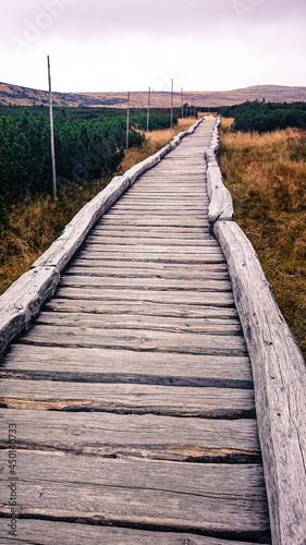 Long Wooden Path in the Mountains