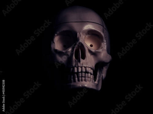 Single human skull in the darkness.