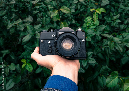 Male hand holding a vintage film camera in the air. Green nature in the background.