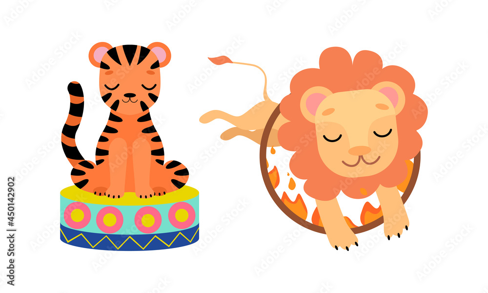 Circus Tiger and Lion Animal Performing Trick Jumping Through Burning Circle Vector Set Circus Tiger and Lion Animal Performing Trick Jumping Through Burning Circle Vector Set