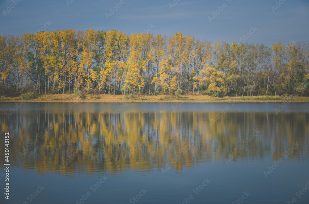 colors of autumn, yellow trees and blue pond in scenic countryside
