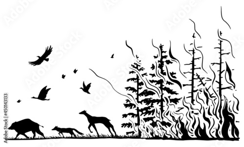 Coniferous forest on fire and silhouettes of wild animals. Deer, wild boar, fox, birds fleeing from the wildfire. Hand drawn graphic vector illustration of forest fire. Black drawing isolated on white