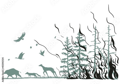 Coniferous forest on fire and wild animals. Deer, wild boar, fox, birds fleeing from the wildfire. Hand drawn graphic vector illustration of forest fire. Flat monochrome drawing isolated on white.