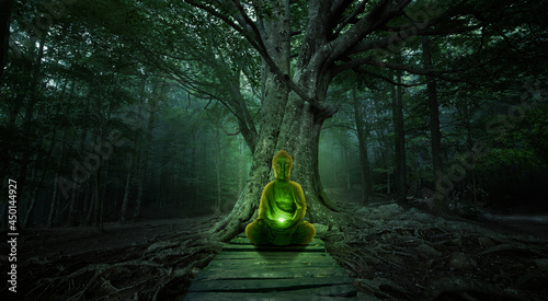 Buddha in the dark forest