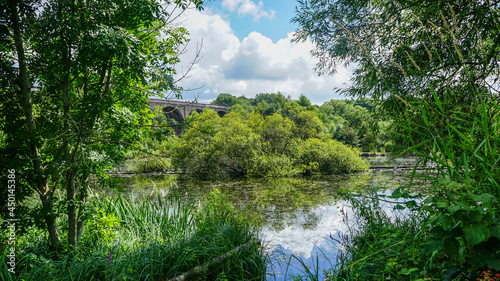 Bridge and birds in Reddish Vale Country Park