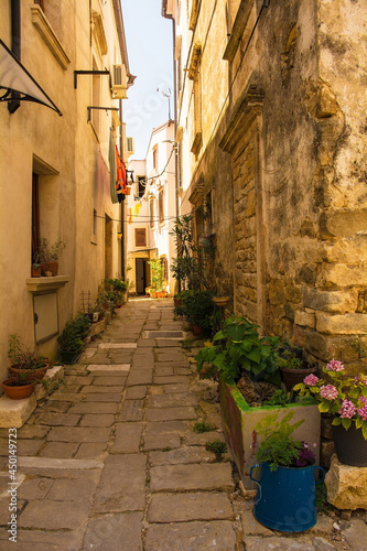 Fototapeta Naklejka Na Ścianę i Meble -  A residential road in the historic medieval hill village of Buje in Istria, Croatia
