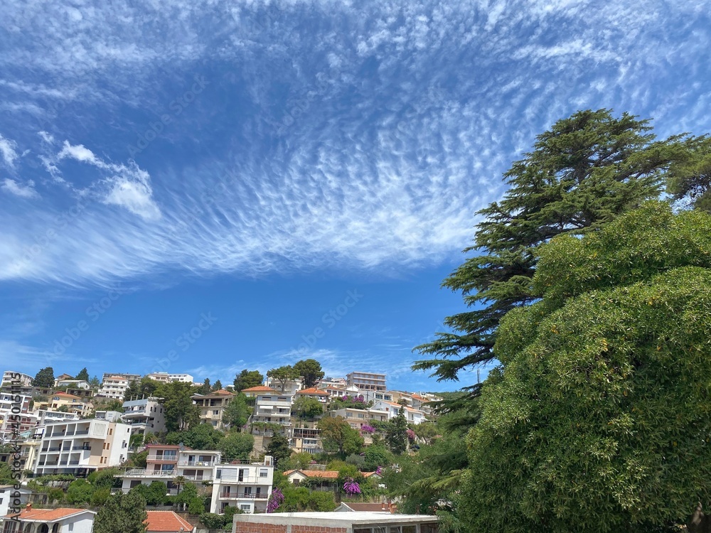 Obraz premium Montenegro old town Ulcinj cityscape. Spectacular view medieval city at summer sunny day. Scenic buildings surrounded lush pine trees. Peaceful Mediterranean landscape.