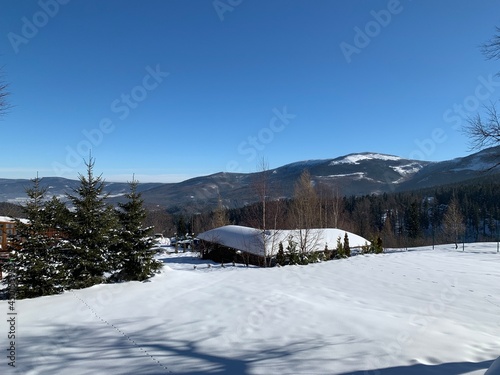 winter view of mountains in the background of nature