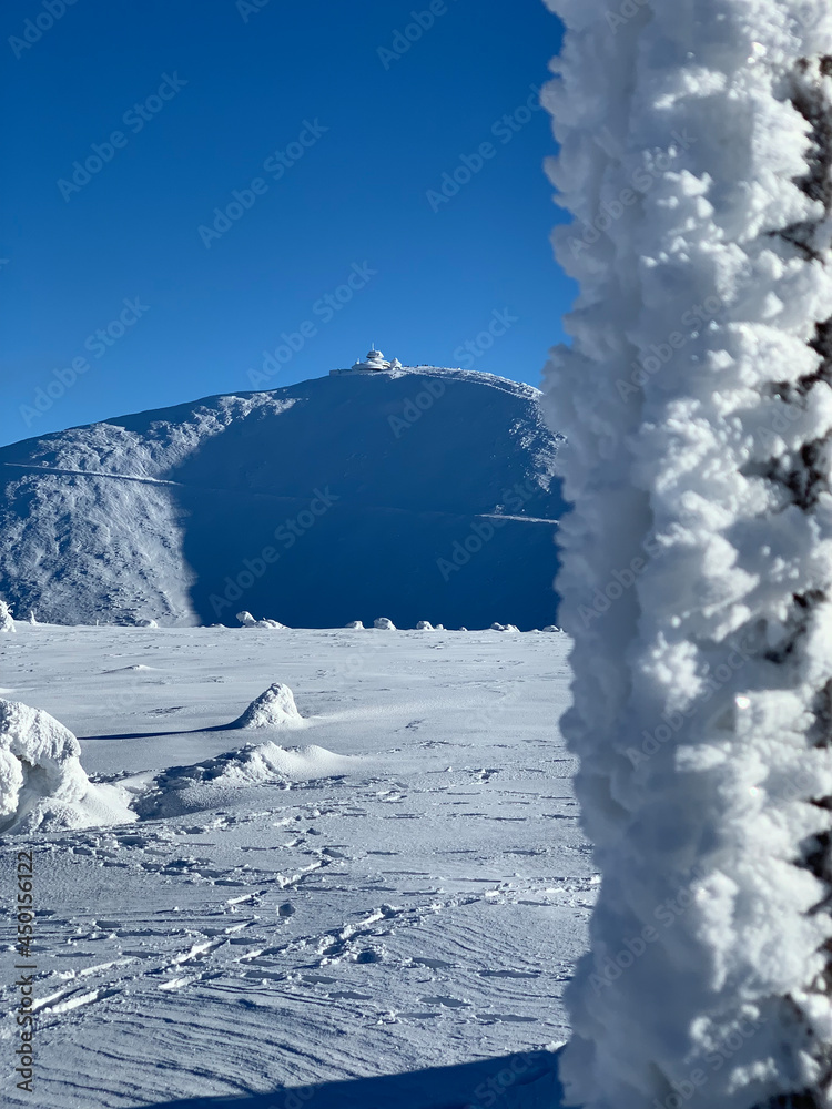 winter view of mountains in the background of nature