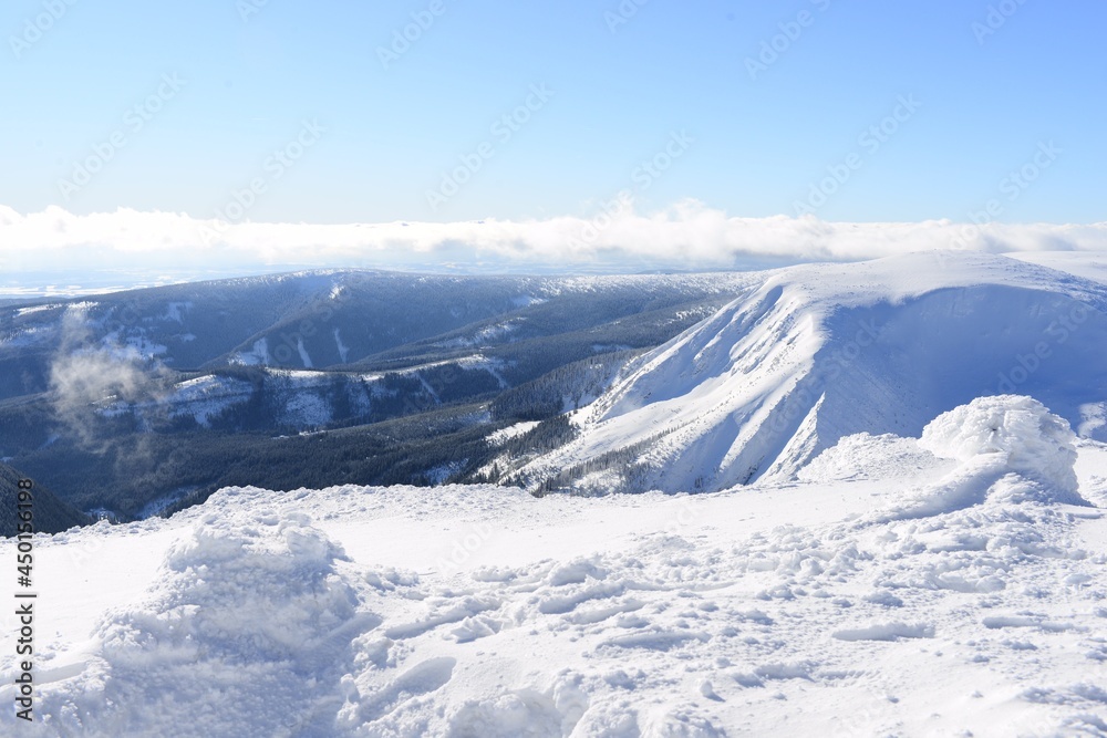 winter view of mountains in the background of nature