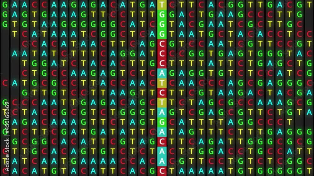 Loopable: DNA genetic matching and analysis abstract background with color-coded DNA components C, G, A, T. Genomic data processing concept. Loopable: DNA genetic matching and analysis abstract background with color-coded DNA components C, G, A, T. Genomic data processing concept.