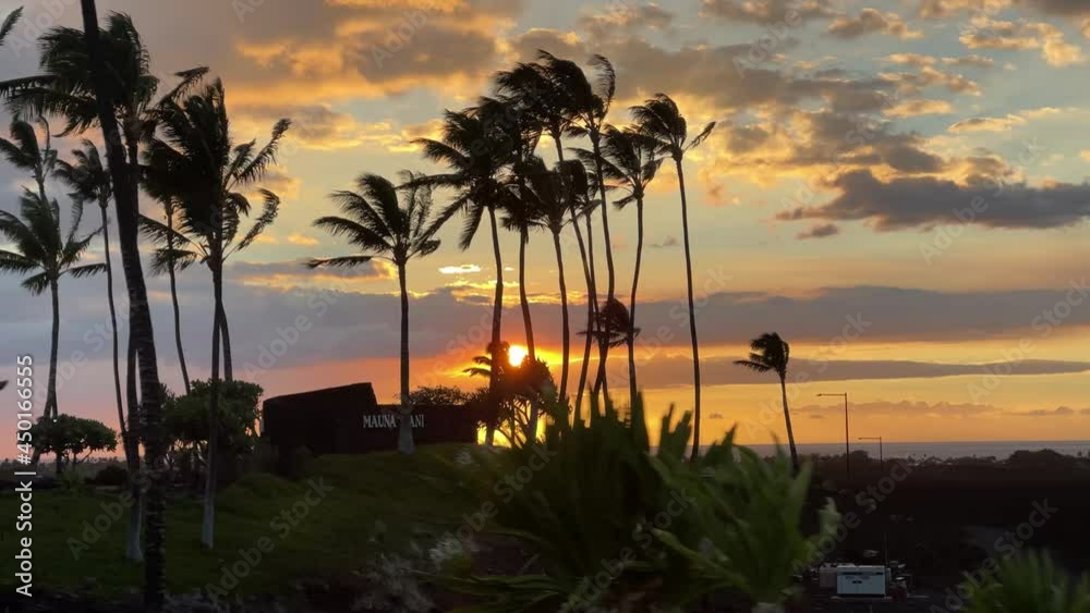 driving past palm trees and beach resort hotel at sunset on The Big Island of Hawaii