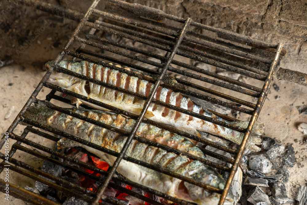 Cooking fish on a fire