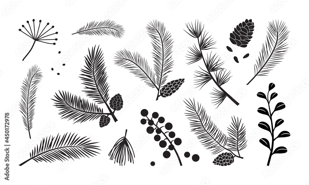 Christmas tree vector branches, fir and pine cones, evergreen set ...
