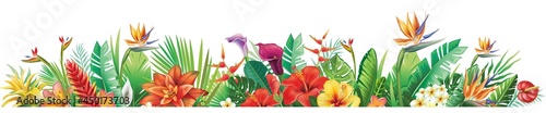 Border with tropical plants and flowers Floral vector illustration