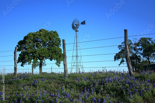 Waller Texas Windmill