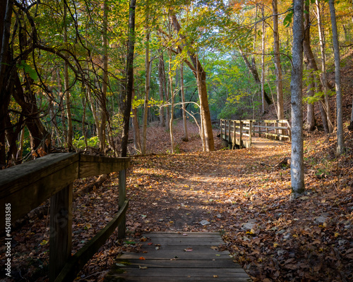 Hiking trail in the evening at Clifty Falls State Park