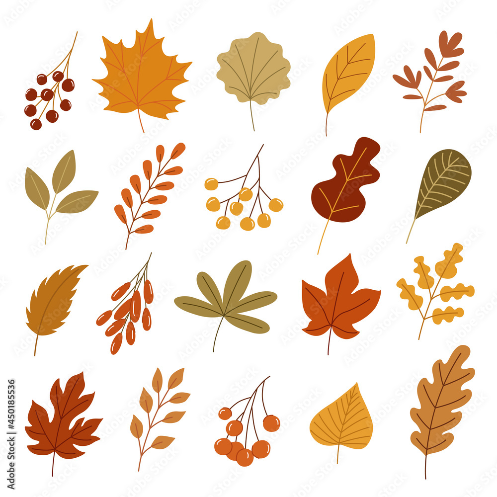 Colorful autumn set of leaves and berries. Vector illustration clipart