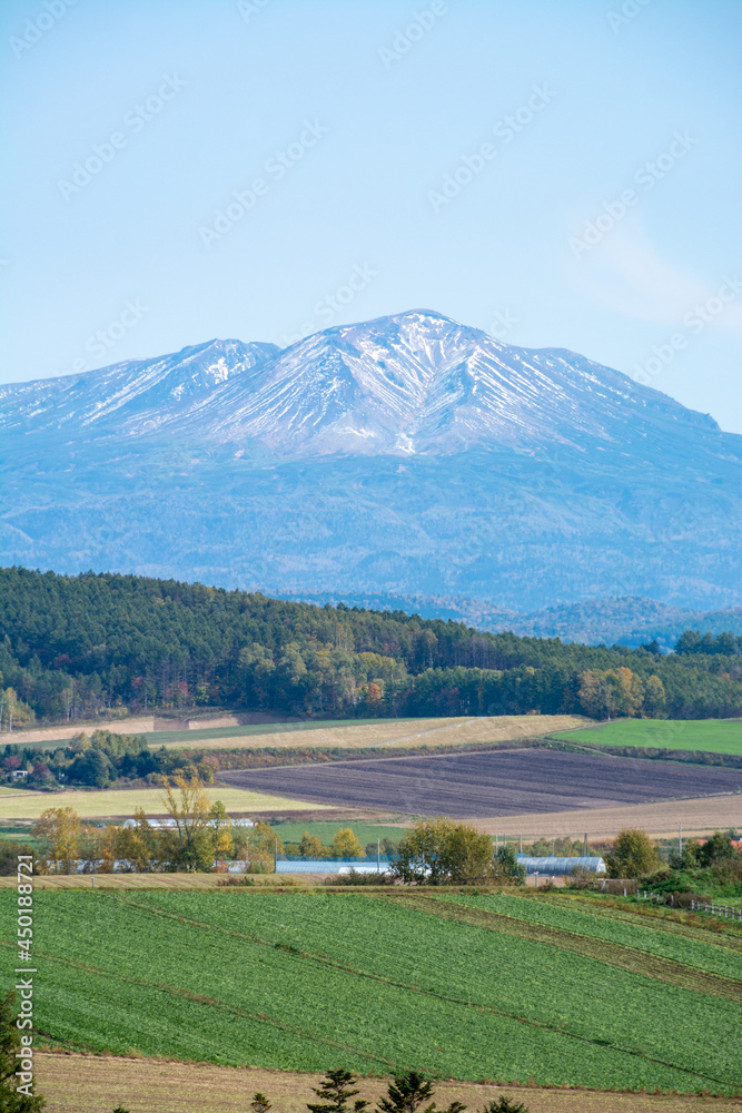 Fototapeta premium 秋の畑作地帯と山並み 大雪山 