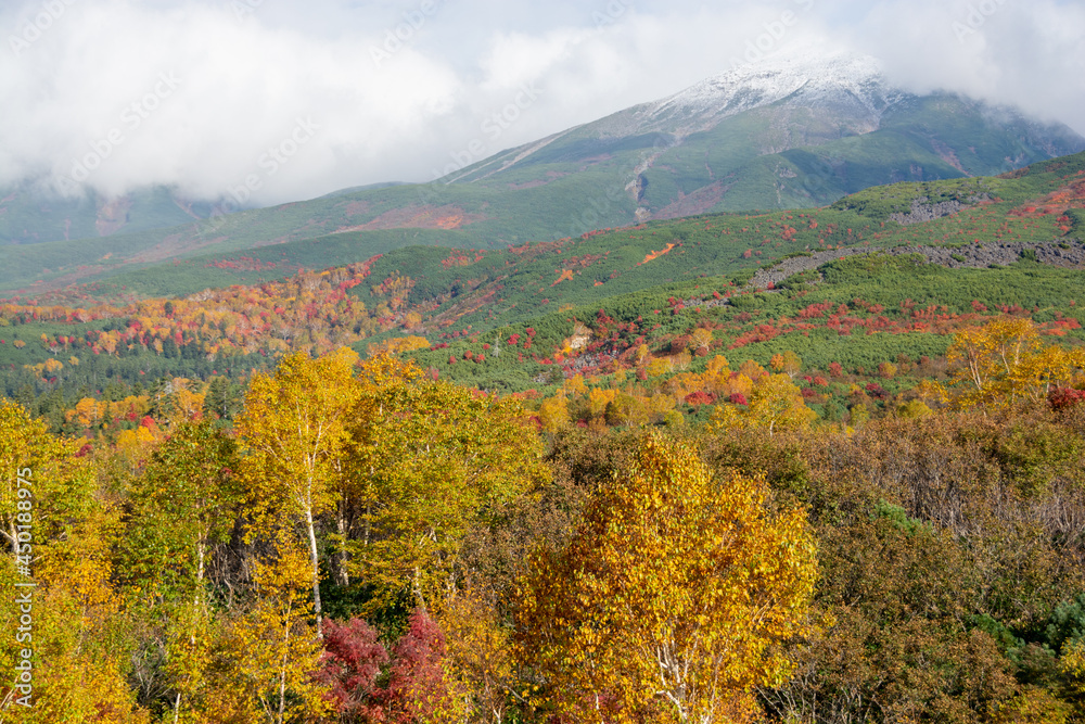 秋のカラフルな林と冠雪の山頂
