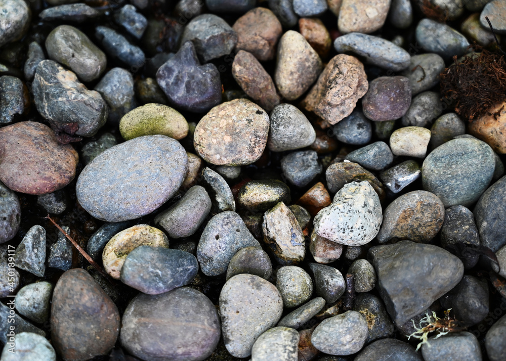 Various stones of gray, white, green, orange, tan, purple, and black that are lightly wet with differing textures Various stones of gray, white, green, orange, tan, purple, and black that are lightly wet with differing textures