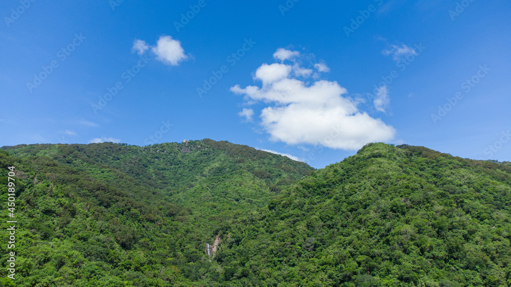 Fototapeta premium NATURAL