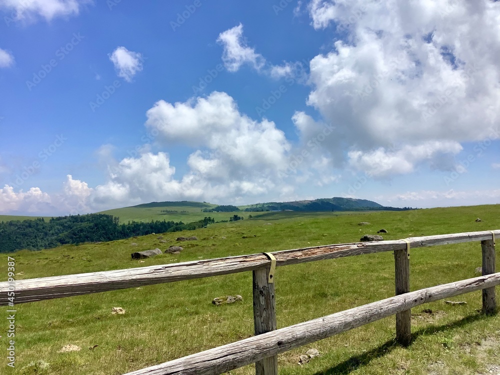 Scenery of Utsukushigahara Plateau in summer at an altitude of 2000m