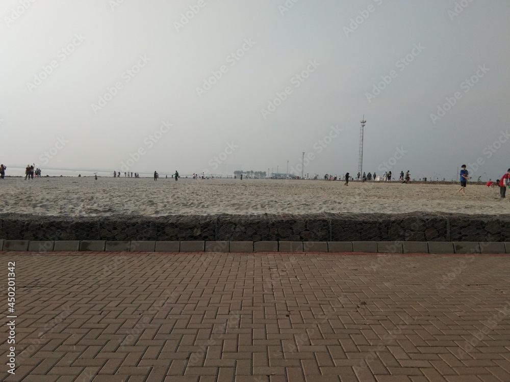Obraz premium birds on the beach